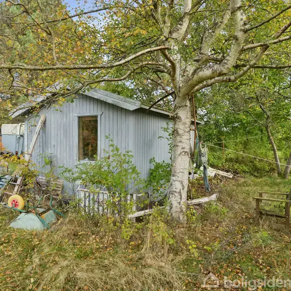 Grå skur står i en frodig have med højt græs og træer. Diverse genstande ligger spredt omkring, herunder en bænk, en tørresnor og legetøj.