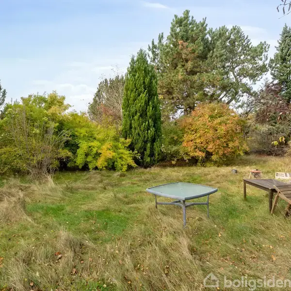 Et græsareal med vild bevoksning indeholder et lille bord og en trærutschebane. Omringet af forskellige træsorter, herunder stedsegrønne og løvtræer, i en haveagtig setting.
