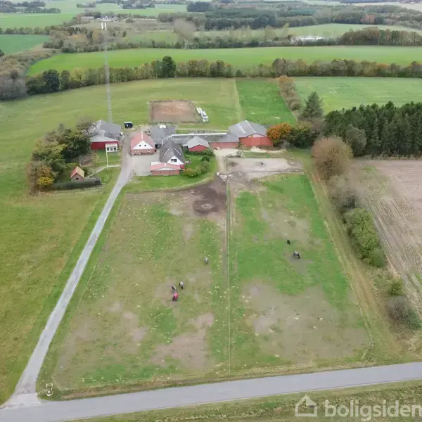 Luftfoto af en gård omgivet af grønne marker og træer. Vejen fører til gårdens bygninger med tilstødende indhegninger og en stor mark.