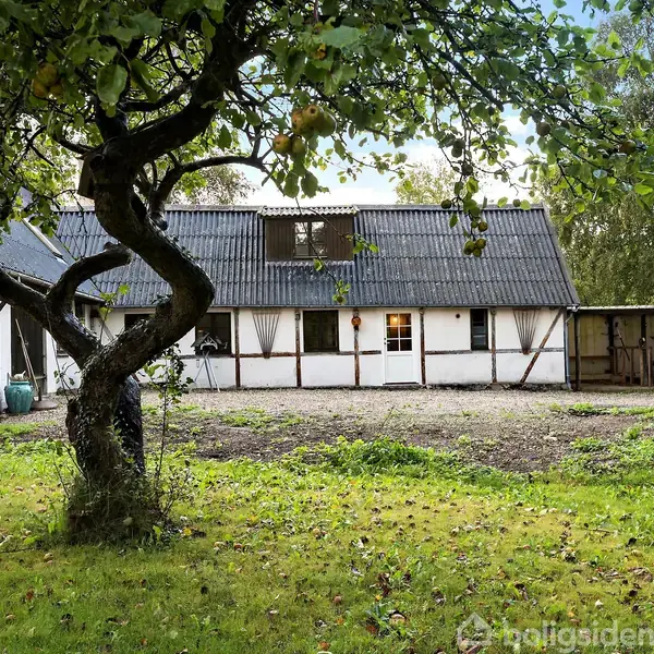 Et skævt træ pryder en græsplæne foran et hvidt bindingsværkshus med mørkt tag. Huset har små vinduer og ligger i en have med grønne omgivelser.