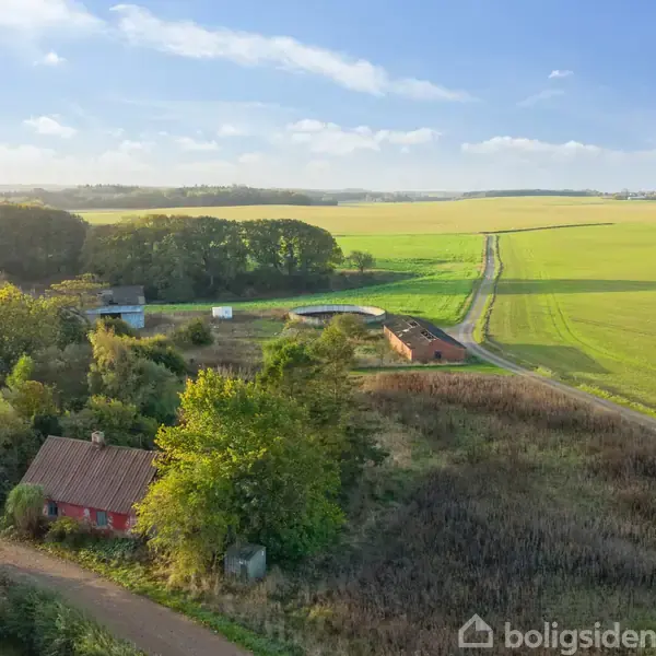 Et rødt hus står omgivet af tæt vegetation ved en vej. Baggrunden domineres af åbne marker og en skov under en klar, blå himmel.