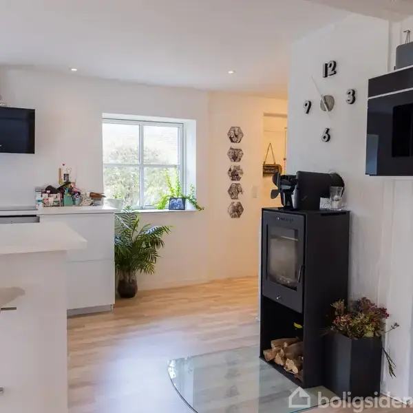 Køkken med hvidt interiør inkluderer moderne apparater, planter og dekorative elementer. Rummet er lyst og rummeligt med træparketgulv og åbner ud til en stue med et TV.