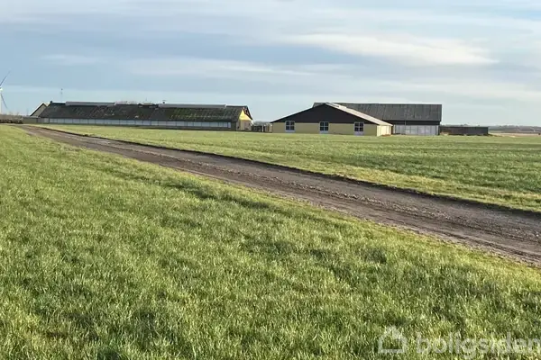 Kvæggård/-jord på Nørlev Strandvej 130, 9800 Hjørring