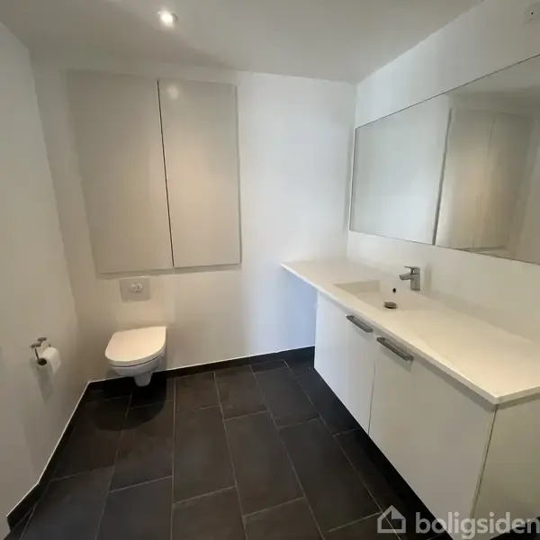 Badeværelse med væghængt toilet og håndvask med skab. Rummet har store, mørke gulvfliser, en hvid væg og et stort spejl over vasken. Toiletrulleholder er monteret ved siden af toilettet.