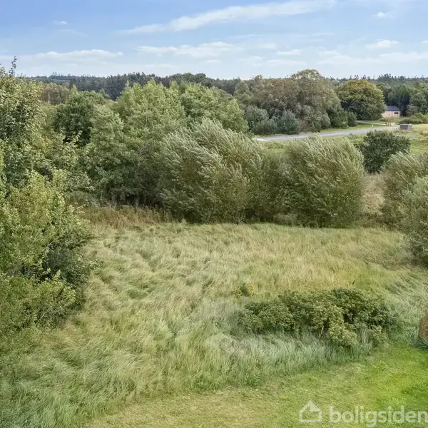Græsmark breder sig stille, omgivet af buske og træer, under en blå himmel med lette skyer. I baggrunden ses en vej og skovgrænse.
