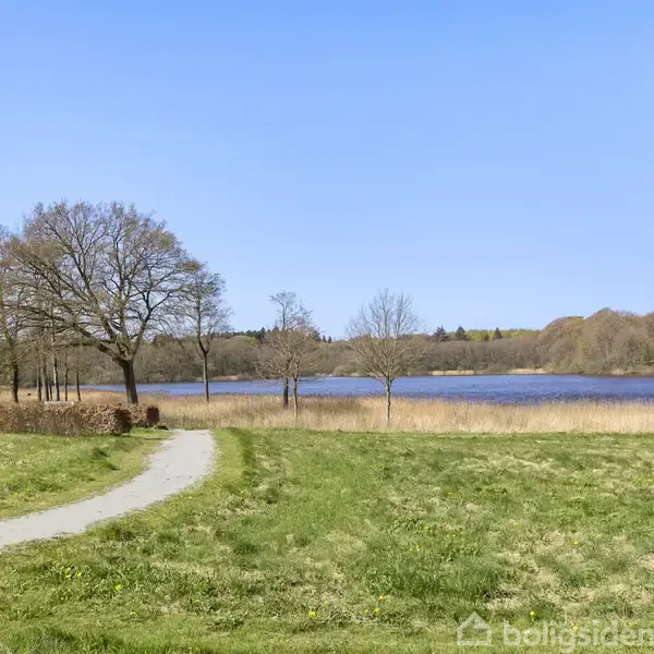 Sti snor sig gennem græsplæne, leder mod sø med siv langs bredden. Spredte træer står i baggrunden under en klar, blå himmel.