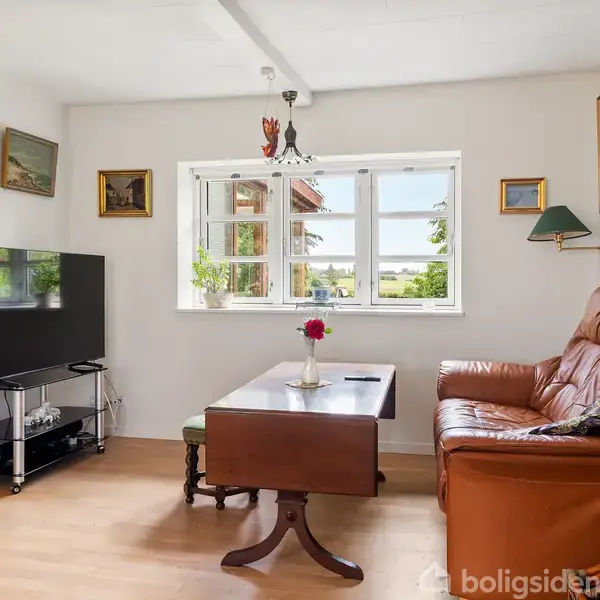 Brune lædermøbler står i en lys stue. Et bord med blomster i en vase står foran en sofa. Et TV står til venstre. Vinduet viser en grøn udsigt.
