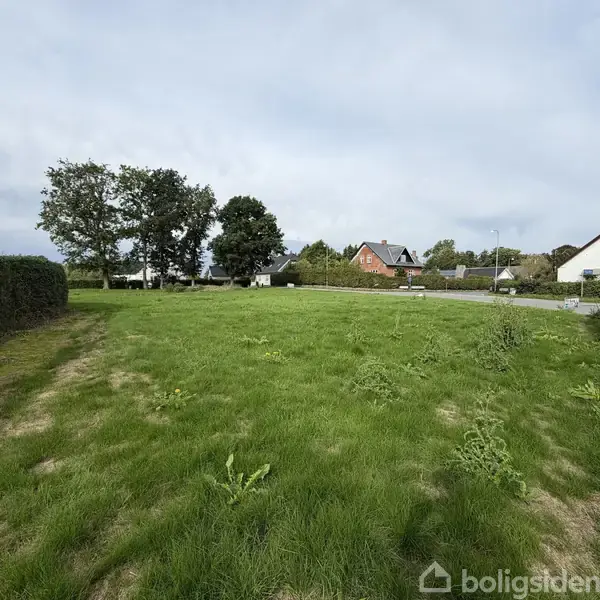 En grøn græsplæne strækker sig mellem hække i en åben have. Baggrunden viser et villakvarter med træer og huse langs en vej under en overskyet himmel.