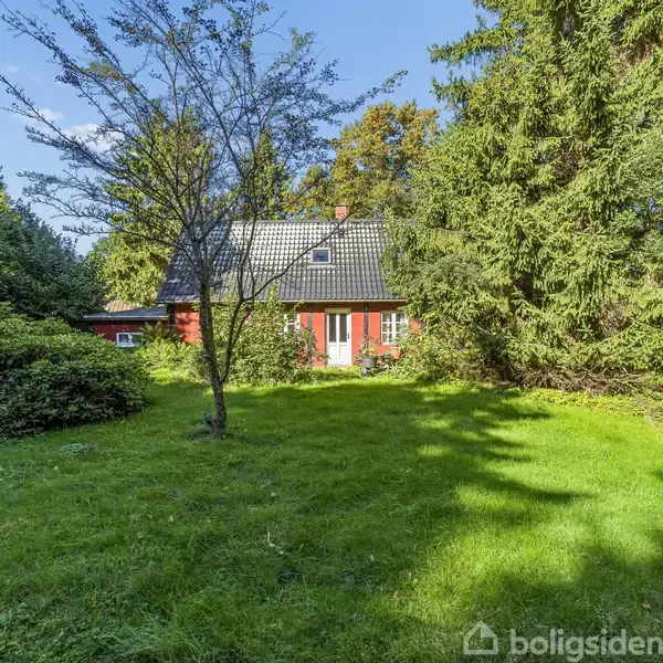 Et rødt hus med hvide vinduer står omgivet af frodigt grønt græs og store træer i en rolig have. En enkelt lille træ ses foran huset.