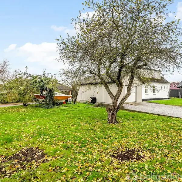 Et træ står på en grøn græsplæne dækket af nedfaldne blade, ved siden af et hvidt hus med en grussti. Træer og buske omkranser området.
