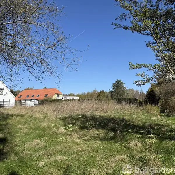 En åben græsmark med spredte træer omgivet af en hvid bygning med rødt tag. Klar blå himmel og trætæthed i baggrunden.