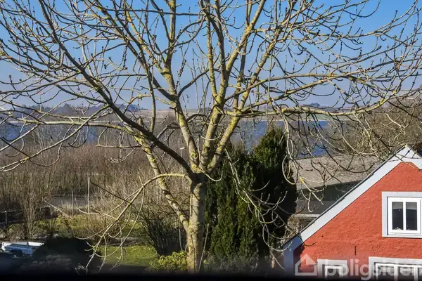 Et træ står nøgent uden blade i forgrunden, omgivet af en have og et rødt hus med hvidt tag i baggrunden. Blå himmel skaber en klar dag.
