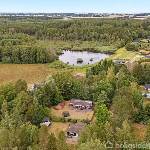 Flere huse omgivet af tæt skov bevæger sig mod en sø i baggrunden. Landskabet er fyldt med træer og marker, og der er en lille bebyggelse i baggrunden.