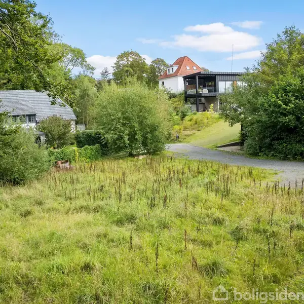 Græsareal vokser vildt blandt høje planter, omkranset af træer og buske. I baggrunden ses et hus med rødt tag nær en grusvej.
