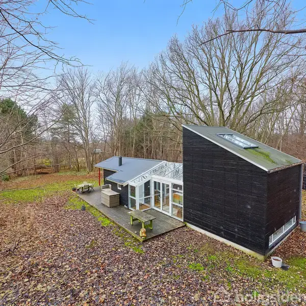 Et moderne, sort træhus med skråt tag står omgivet af nøgne træer i en skovklædt have, mens solen skinner på en bred terrasse med møbler.