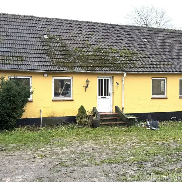 Gult hus med skråt tag viser tegn på aldring med mosvækst. Foran huset er en lille trappe og nogle buske. Beliggende på et stenet område.
