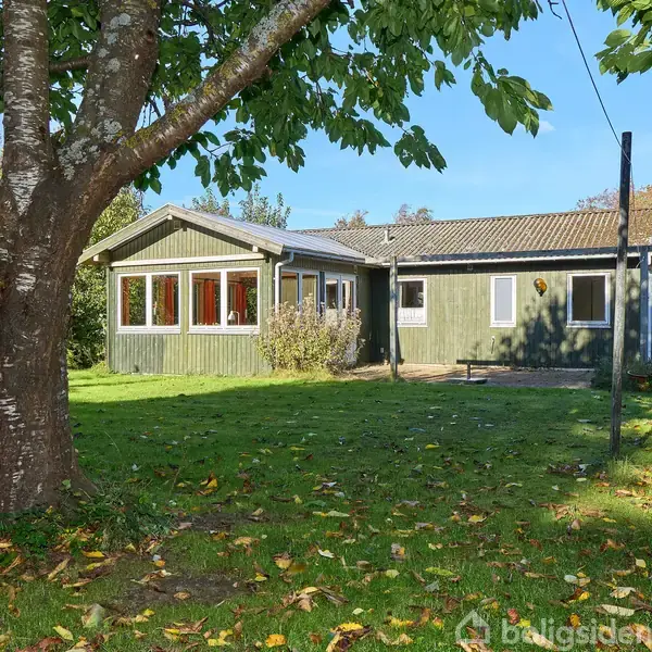 Et grønt hus står i en solrig have med et stort træ i forgrunden. Græsplænen er strøet med blade, og der er klare blå himmel i baggrunden.