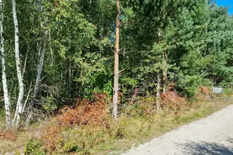 Fritidsgrund på Fuglekongevej 4, Østerby, 9940 Læsø