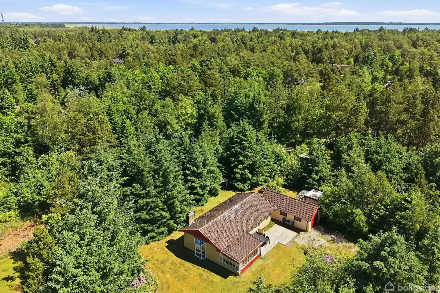 ET HYGGELIGT FRISTED MELLEM SKOV OG STRAND