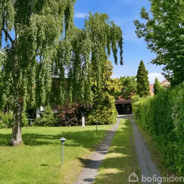 En grusvej fører gennem en frodig have med en hængende træ, omkranset af grønne buske og træer, som fører mod en rød bygning i baggrunden.