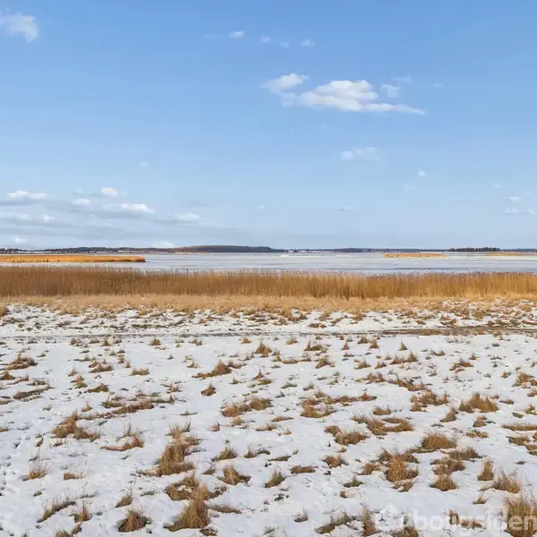 Søen strækker sig ind i horisonten, omkranset af høje siv langs kanten, med en blanding af tørre og snedækkede områder i forgrunden under en klar, blå himmel.
