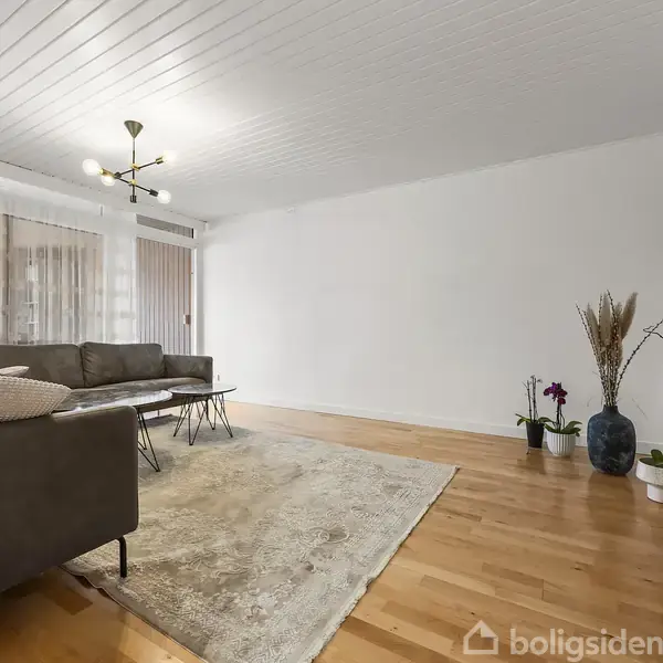 Stue med grå sofa står på et trælaminatgulv. Sofabord placeret foran sofaen. Hvidt loft med moderne lampe. Planter og TV-møbel langs væggen. Tæppe dækker gulvet.
