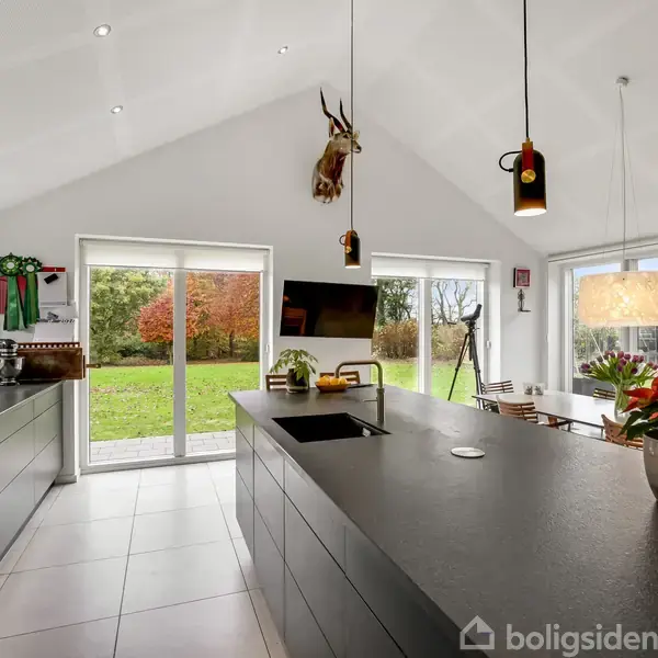 Et moderne køkken med en stor sort køkkenø, der står centralt. Vinduerne bagved giver udsigt til en grøn have. Et hjortehoved er monteret på væggen som dekoration.