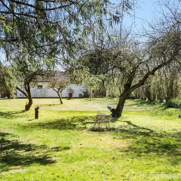 Hus i baggrunden omgivet af frodig have. Træer strækker sig over græsplænen, der ligger i skygge. En ensom stol står nær et skyggefuldt område.