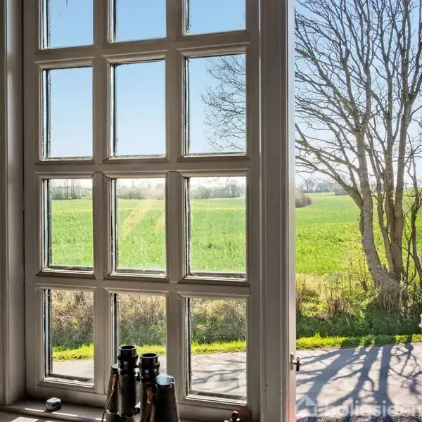 Åbent vindue med udsigt over en grøn mark; solen skinner, og et nøgent træ ses til højre. Flasker står på vindueskarmen.