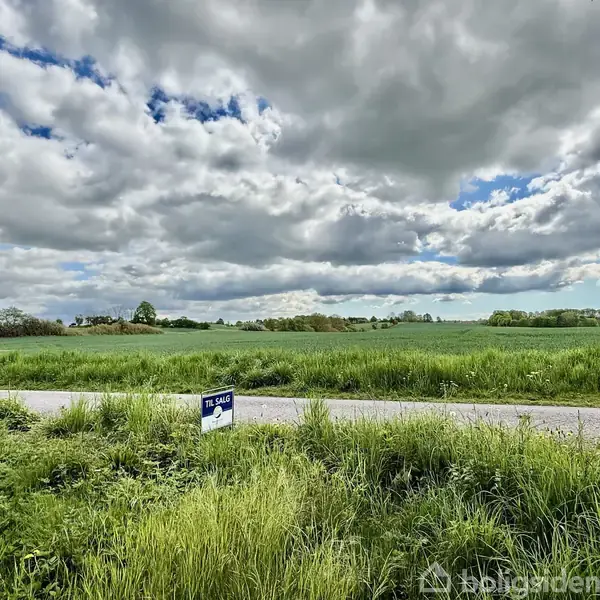 Et skilt med teksten "Til salg" står i græsset ved en vej, omgivet af en stor mark under en skyet himmel.