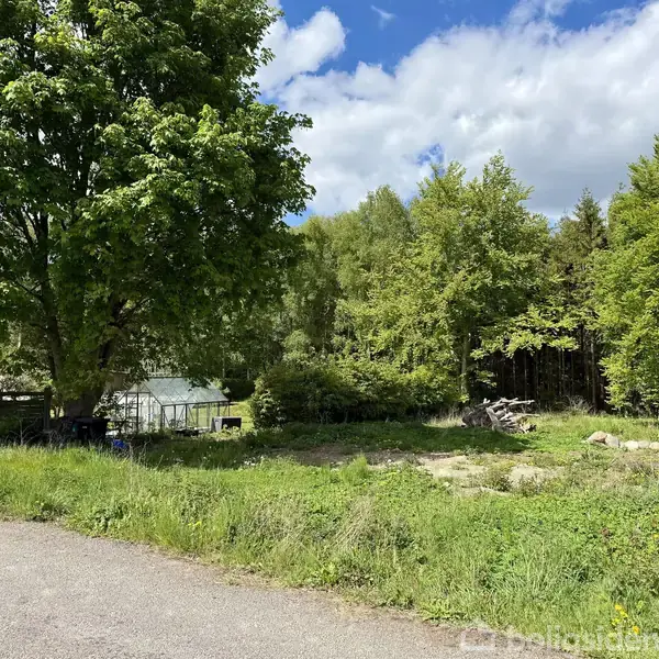 En skovklædt grund med et skilt, der siger "Til Salg," står ved siden af en landevej omgivet af træer og en klar blå himmel.