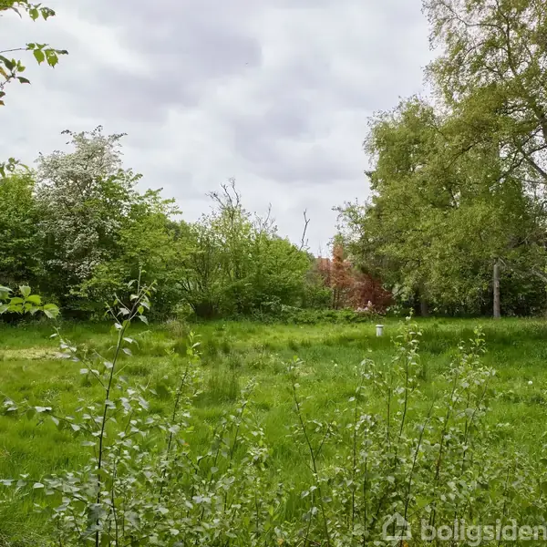 Grønne buske og træer står stille i en frodig eng, omgivet af tæt skov under en overskyet himmel.