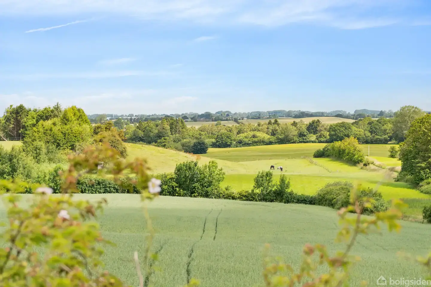 Landejendom på Pavegyden 7, 5771 Stenstrup