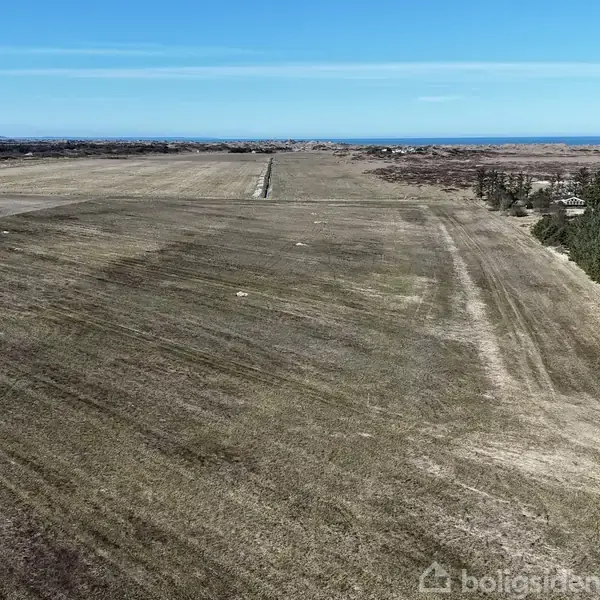 En stor, flad mark strækker sig ud mod horisonten under en klar blå himmel, omkranset af træer i højre side.