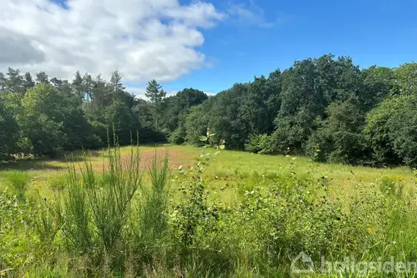 Planteavlsgård/-jord på Aarhusvej 0, 8800 Viborg