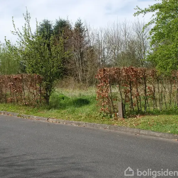 Hæk omkranser en græsklædt grund med sparsom beplantning af træer. Det er en stille gade med asfalt og fortov.