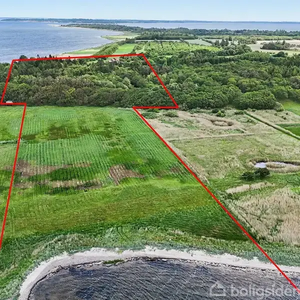 Et landområde markeret med rød linje strækker sig fra kysten til en skov. Området består af græsmarker og en lille skov ved vandet, i et landligt landskab med havudsigt.