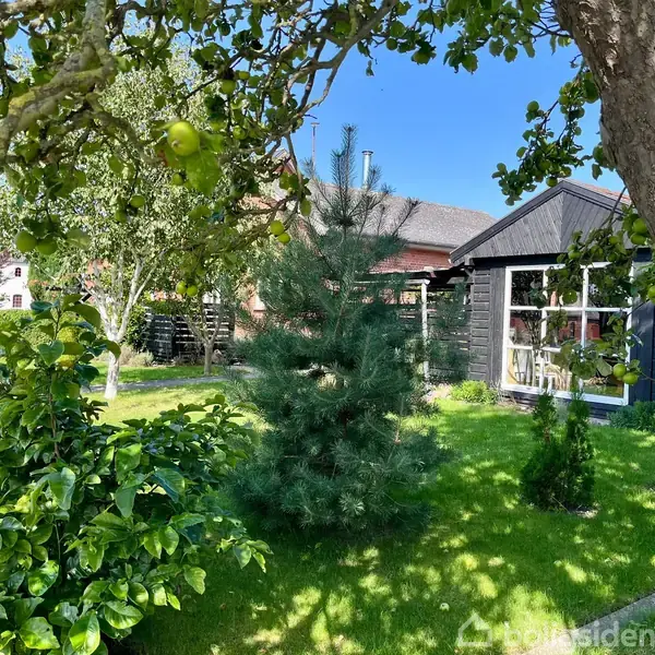 En frodig have med græsplæne og forskellige træer, inklusiv et grantræ, omgiver et sortmalet træhus med hvide vinduer. Klar blå himmel ses i baggrunden.