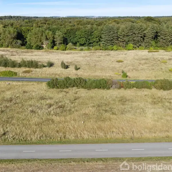 En vej løber gennem et åbent landskab med græsarealer og spredte buske. I baggrunden ses en skov med tætte træer under en klar blå himmel.