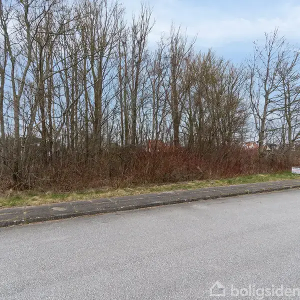 En række træer står langs en busket kant. Foran er en asfalteret vej med en græskant i et åbent område. Skiltning ved vejen er synlig.