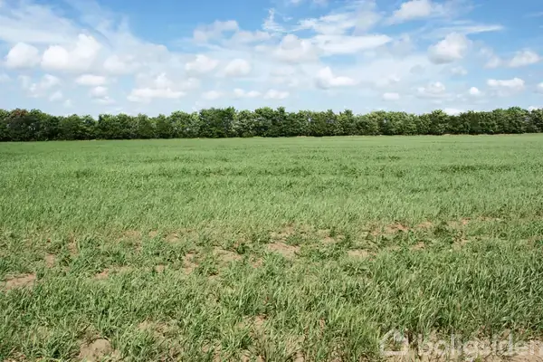 Planteavlsgård/-jord på Gerå Engvej 61, 9340 Asaa