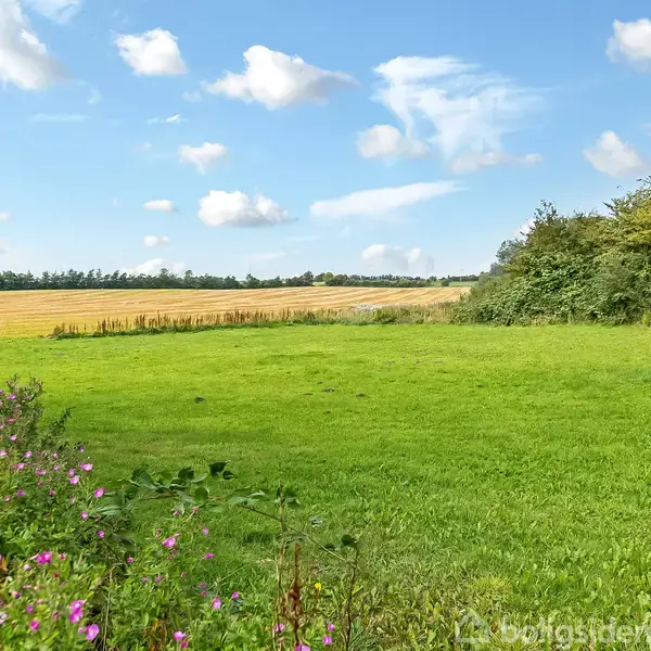 Græsplæne strækker sig mod en horisont, dækket af marker og træer, under blå himmel med skyer. Blomster og buske vokser i forgrunden, tilføjer farve til det grønne landskab.