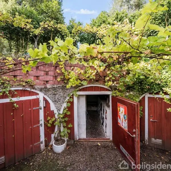 En jordkælder med røde døre er delvist indbygget i en skråning. Vinranker vokser over dens facade. I baggrunden ses en frodig have med træer og buske.