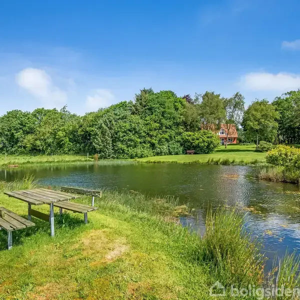 En træbænk og et bord står ved en stille sø omgivet af frodig vegetation og træer. I baggrunden er et rødt hus halvskjult af træerne under en klar blå himmel.