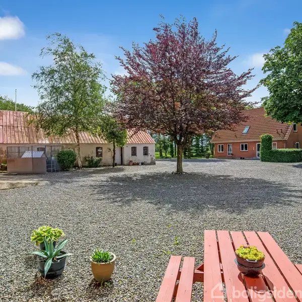 En gårdsplads med en centralt placeret træ omgivet af grus, vegetationen i krukker på en rød bænk. I baggrunden ses røde murstensbygninger og grønne træer under en klar himmel.