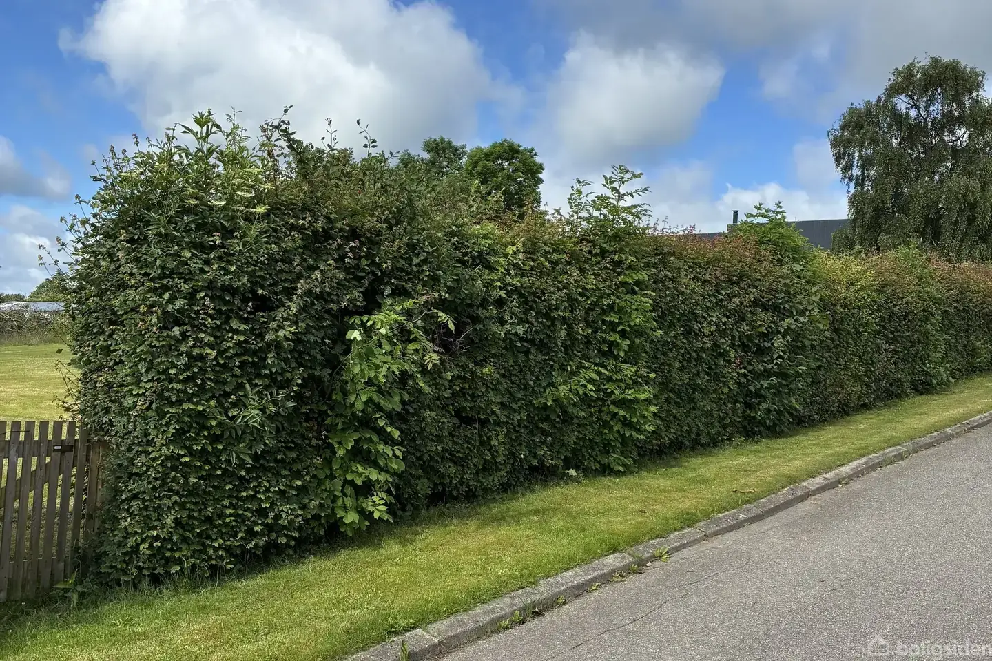 Helårsgrund på Vindevej 61, 7800 Skive