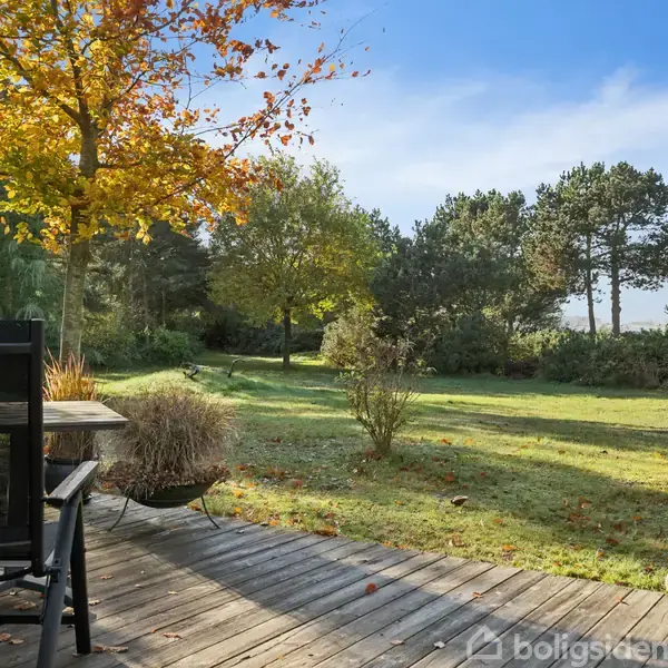 En terrasse med en sort stol står foran en stor, grøn have med træer, der viser efterårsfarver, under en klar, blå himmel.