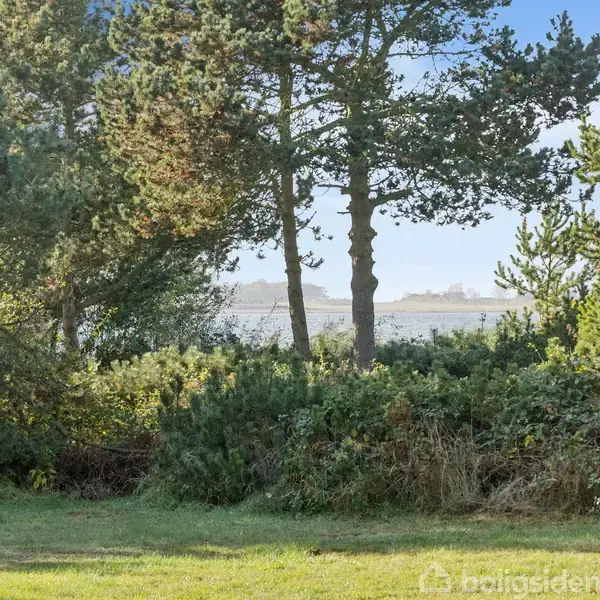 Grønne træer står plantet tæt ved en græsplæne. I baggrunden ses en rolig kystlinje under en klar, blå himmel.