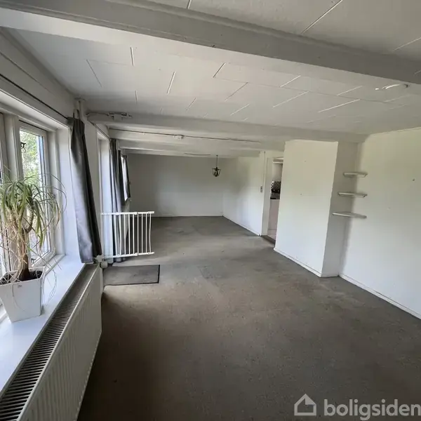 Lang, lys stue med tæppebelagt gulv. Store vinduer til venstre med udsigt til grønne træer. En plante foran vinduet. Hvide vægge, en radiator, og nogle hylder på højre væg.