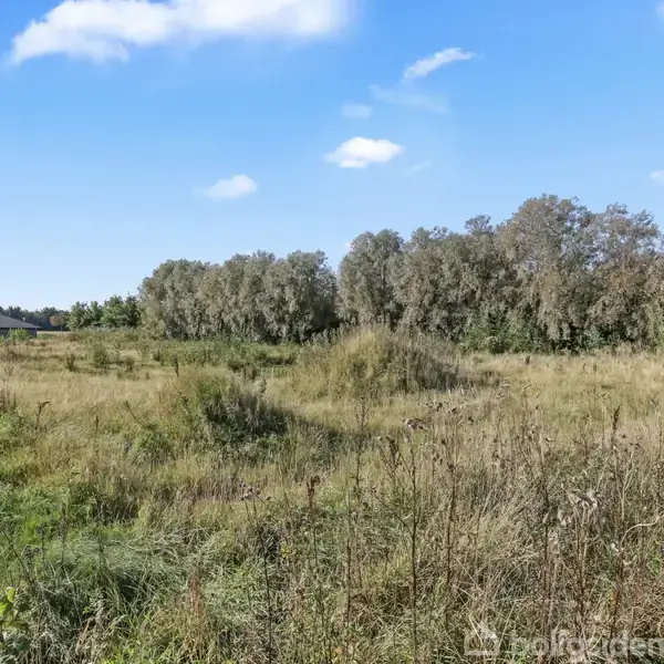 En grøn mark ligger ubenyttet, bekranset af høje træer i baggrunden. Til venstre ses en bygning, og himlen er klar med få skyer. Ingen tekst er til stede.
